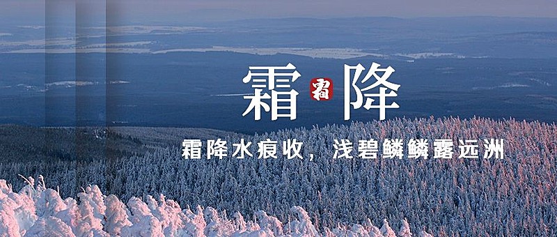 霜降节气祝福秋季自然简约文艺首图