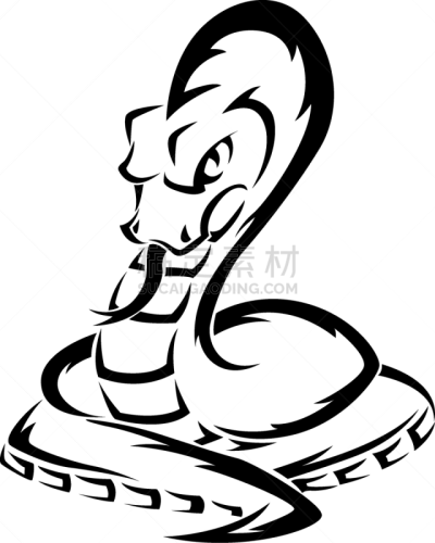 蛇,雕刻图像,白色,华丽的,古董,动物,装饰物,矢量,复古