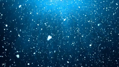 圣诞雪阿尔法。环路
