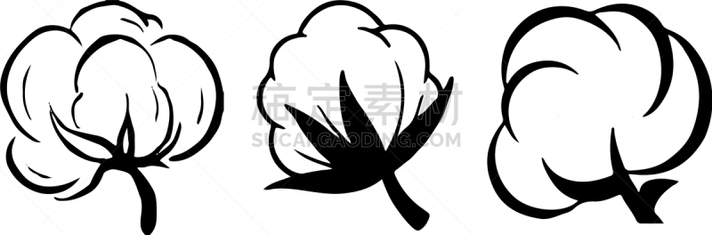 棉花,分离着色,图标,白色背景,标志,圆荚,农业,摆拍,纺织品,植物群