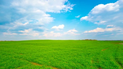 夏季景观，全景延时