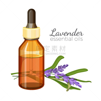 熏衣草,瓶子,香熏油,芳香的,清新,纯净,脆弱,健康保健,放松