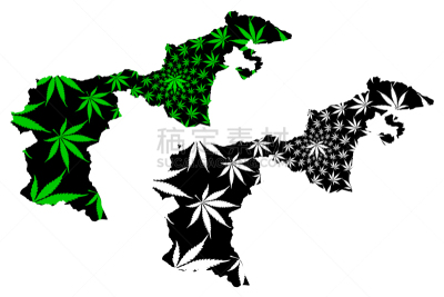 外阿彭策尔,瑞士,国内著名景点,草,植物,轮廓,剪影,除草