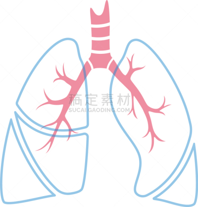 分离着色,人类肺脏,生物学,呼吸运动,健康保健,人,图表,概念,生病