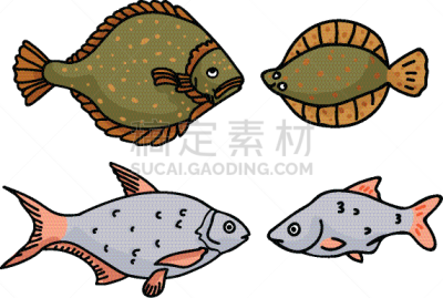 鲽,蟑螂,卡通,背的，脊的,可爱的,自然,海洋生命,符号,海产,写实