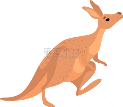 可爱的,动物,袋鼠,小袋鼠,澳大利亚,褐色,摆拍,母亲,野生动物,哺乳纲