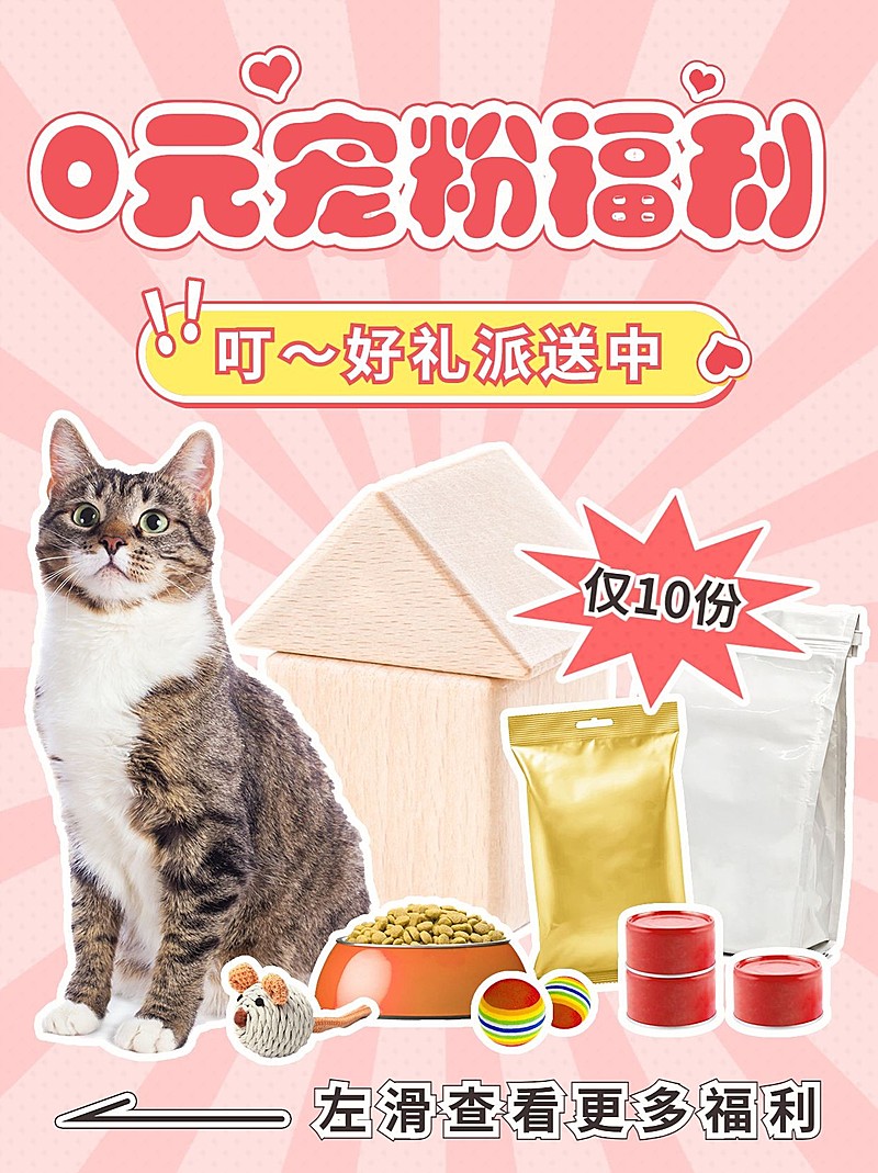 宠物促销活动粉丝福利小红书封面