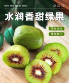 模板缩略图