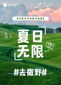 模板缩略图