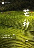 模板缩略图