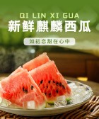 模板缩略图