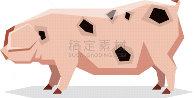 几何形状,格洛斯特郡,猪,过时的,平坦的,可爱的,农业,纯种犬,母亲,食品