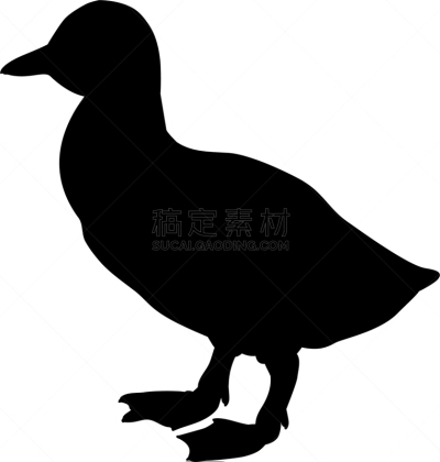 动物,鸟类,黑色,小鹅,可爱的,农业,翅膀,模板,小的,剪影