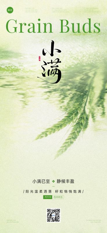 小满节气祝福通用清新感全屏竖版海报预览效果