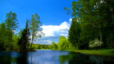带森林湖泊的夏日蓝景