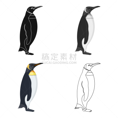 企鹅,海鸟,分离着色,自然,动物园,图像,海洋,小的,动物,鸟类