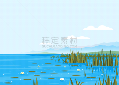 植物群,香蒲,地形,睡莲,池塘,草,湖,波浪,河流,流动