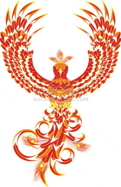 鸟类,凤凰,自然,热,性格,动物,矢量,虚构,飞