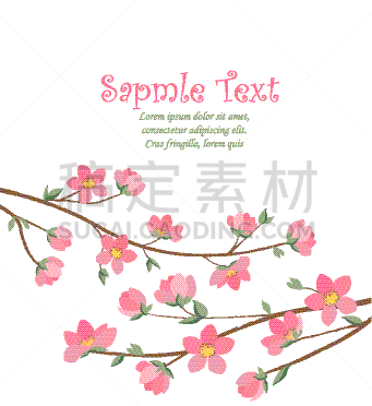 花朵,樱之花,春天,华丽的,传统,壁纸,樱桃,自然美,植物,花