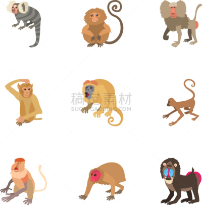 卡通,猴子,可爱的,农业,纯种犬,野生动物,灵长目,猿,树,上升