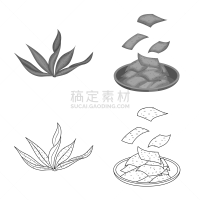 isolated object protein and sea icon set of