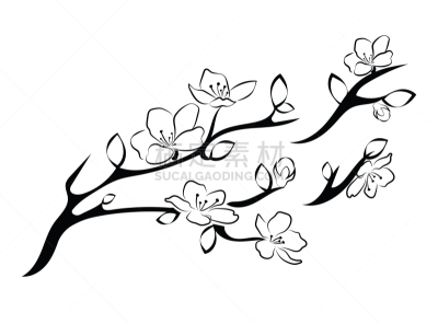 樱桃,枝,樱之花,花蕾,摆拍,自然美,春天,花,复古