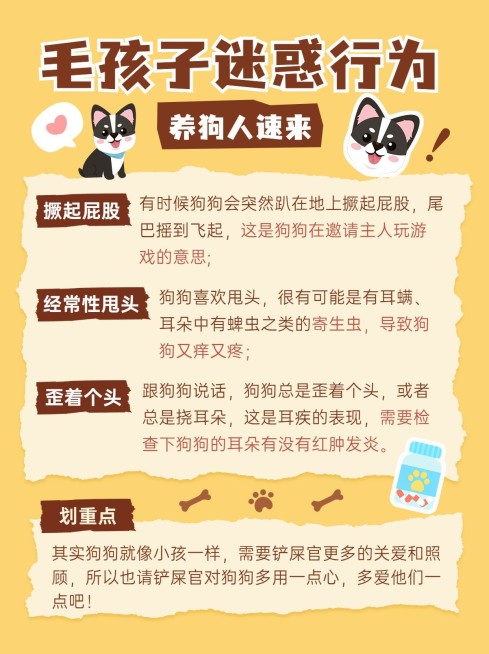 宠物知识科普小红书封面预览效果
