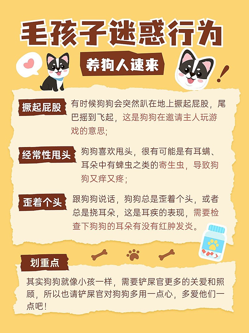 宠物知识科普小红书封面