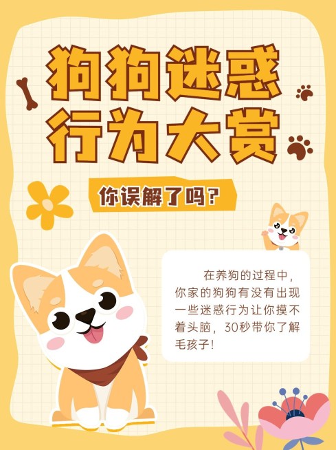 宠物知识科普小红书配图预览效果