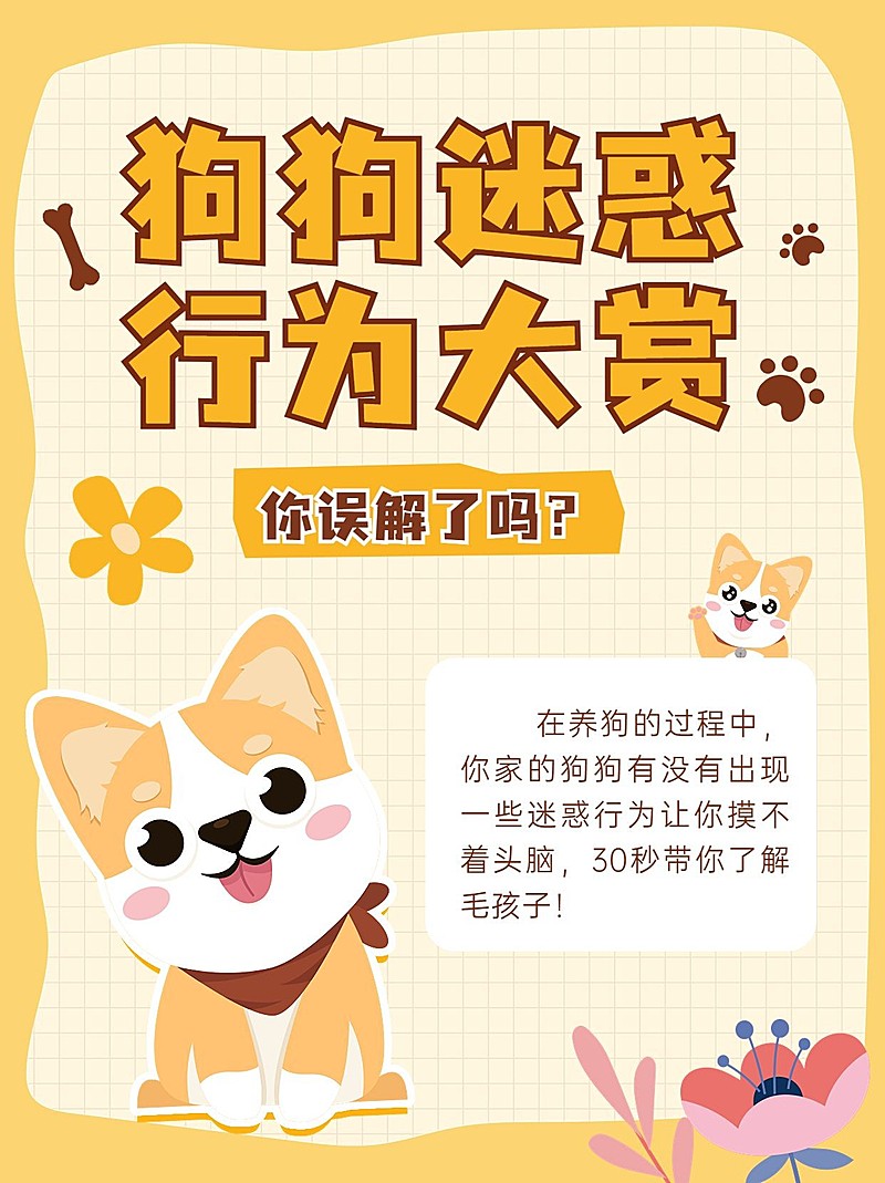宠物知识科普小红书配图