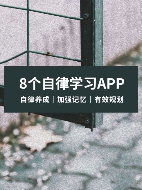 实景背景简约文艺清新小红书配图预览效果