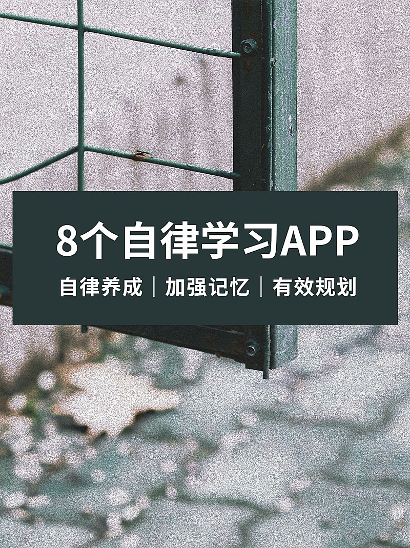 实景背景简约文艺清新小红书配图