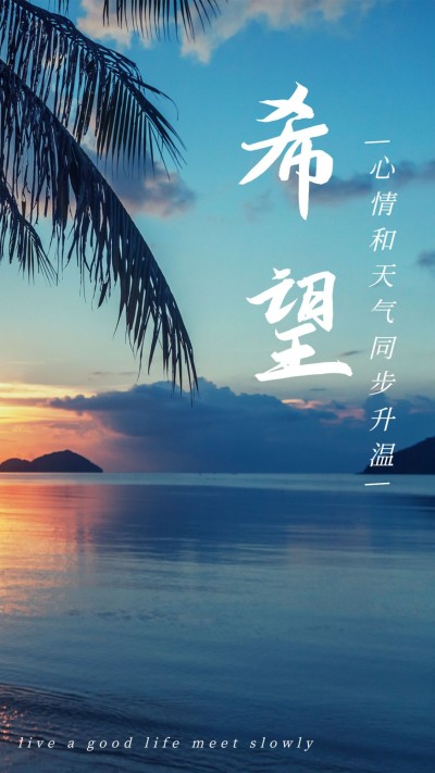 简约实景轻设计竖版视频封面套装