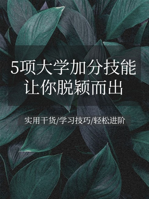 实景背景简约文艺清新知识博主小红书配图预览效果