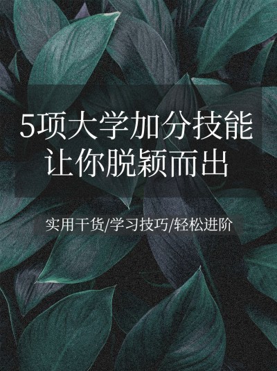 实景背景简约文艺清新知识博主小红书配图