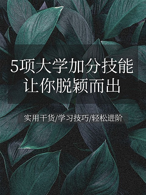 实景背景简约文艺清新知识博主小红书配图