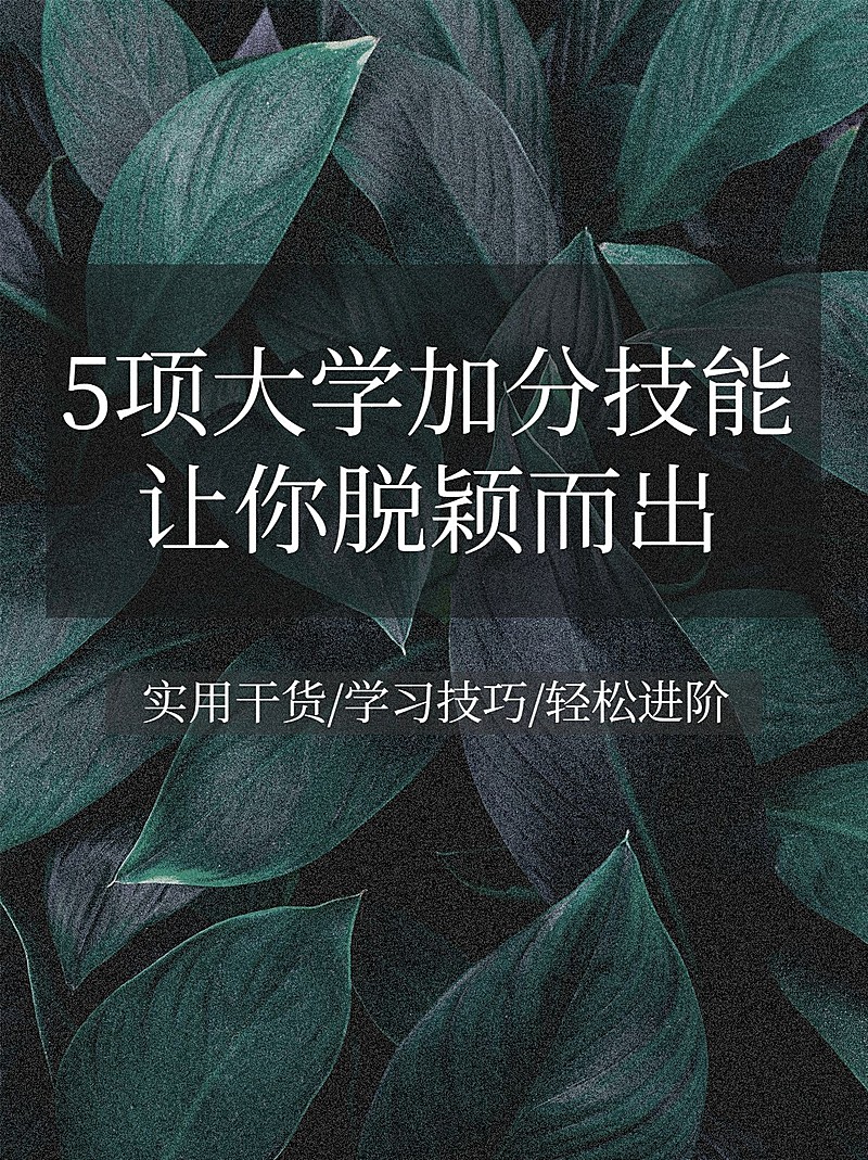 实景背景简约文艺清新知识博主小红书配图