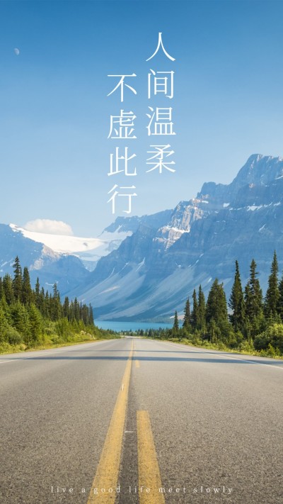 简约实景轻设计竖版视频封面套装