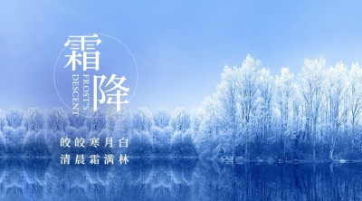 霜降节气祝福问候实景冰霜横版海报