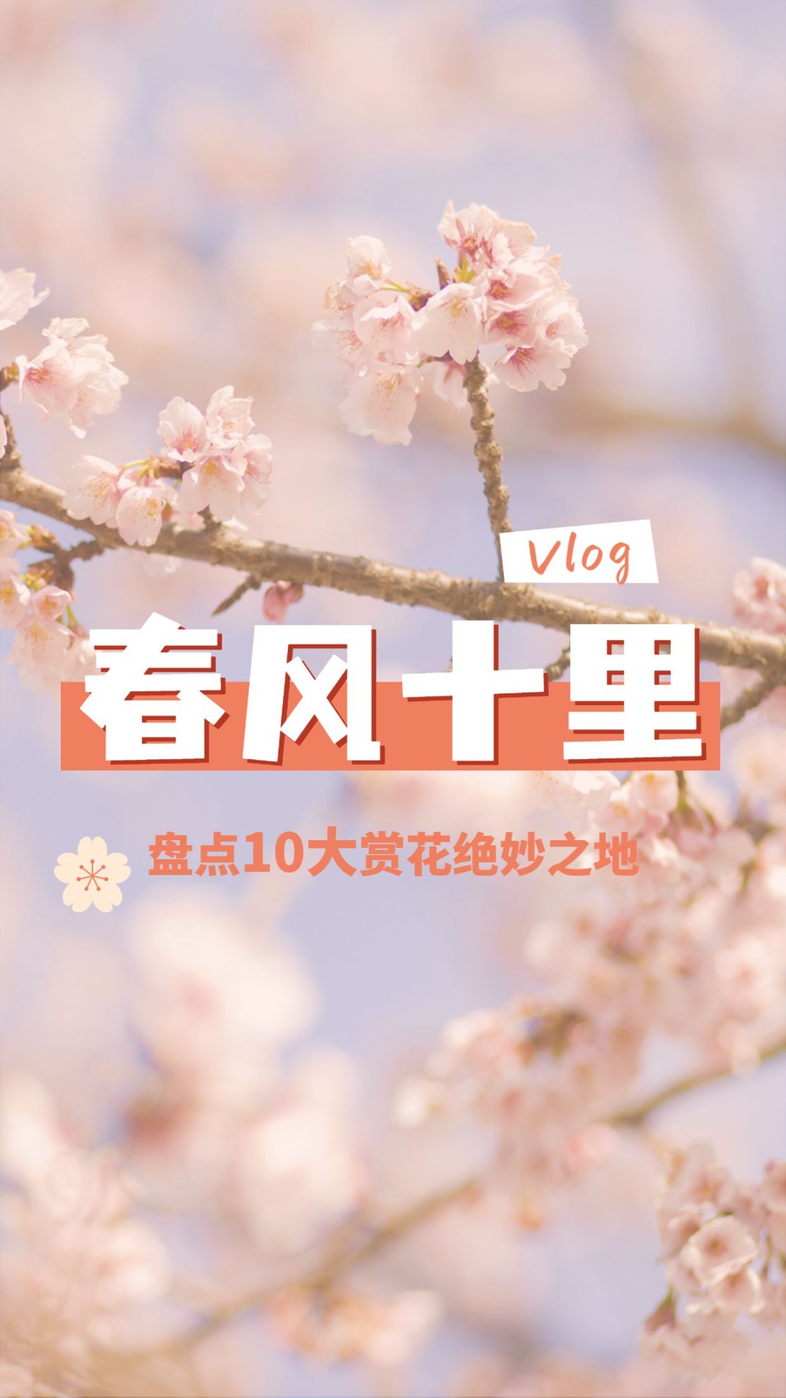 简约清新旅游生活vlog竖版视频封面