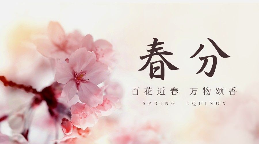 春分节气问候祝福春天你好横版海报预览效果