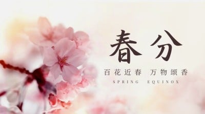 春分节气问候祝福春天你好横版海报