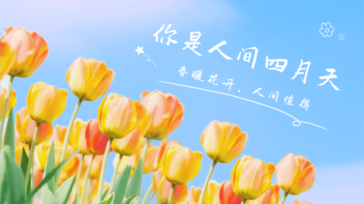 vlog实景混剪横版视频封面预览效果