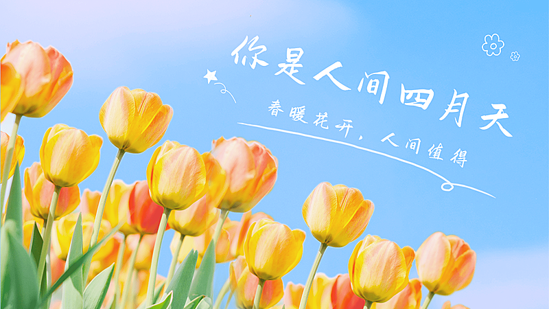 vlog实景混剪横版视频封面