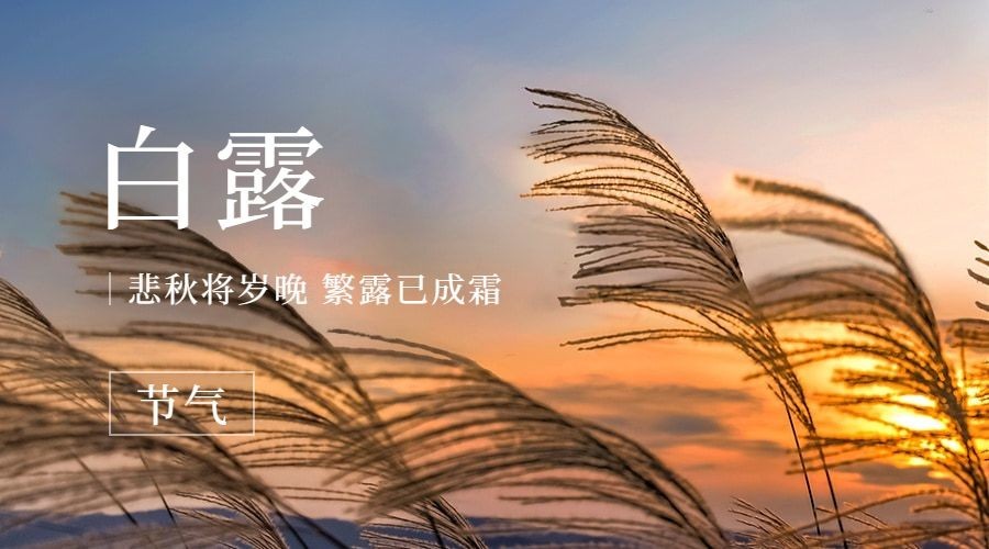 白露节气祝福问候实景横版海报预览效果