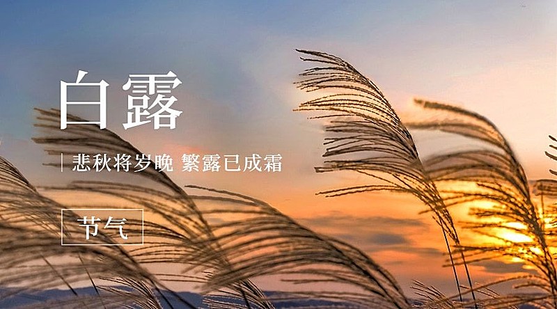 白露节气祝福问候实景横版海报