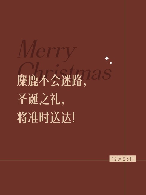 极简高级圣诞节小红书封面配图预览效果