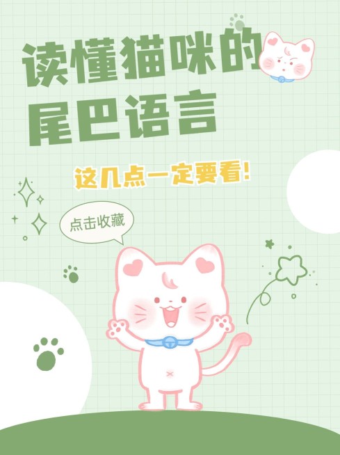 宠物知识科普小红书配图预览效果