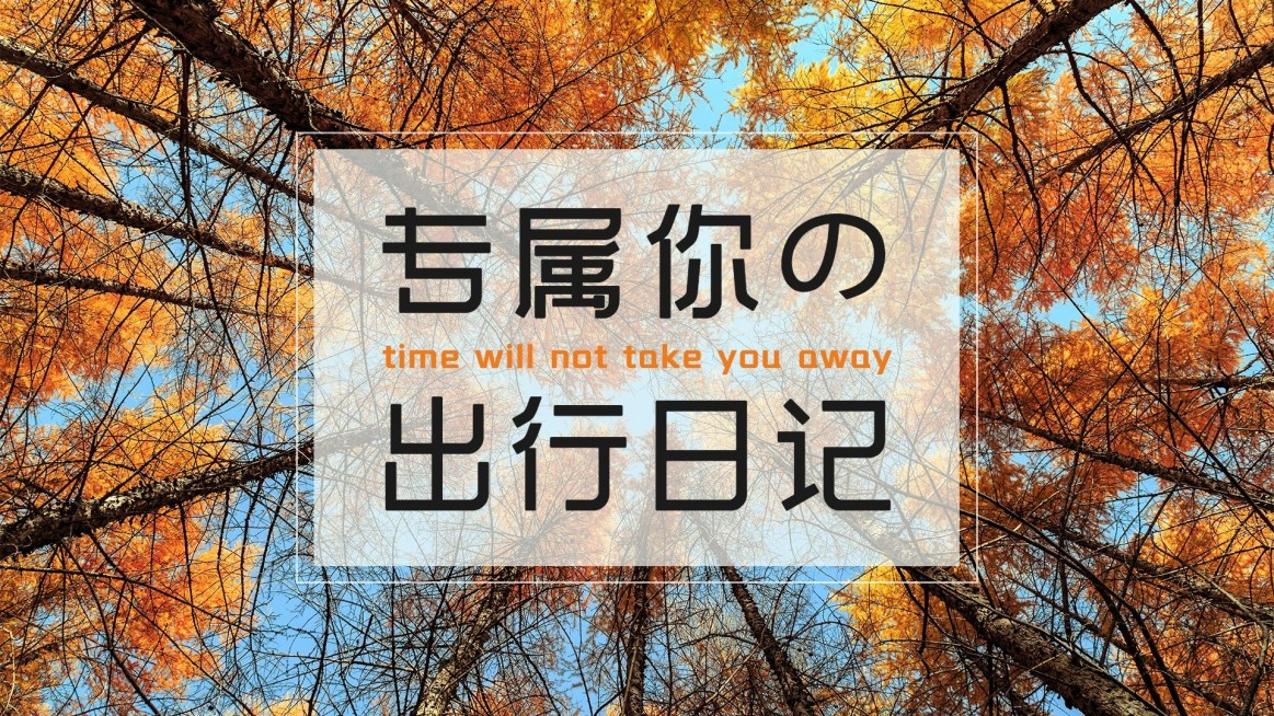 轻设计简约旅游摄影横版视频封面预览效果