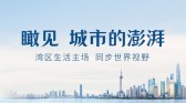 模板缩略图